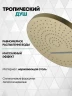 Душевая система Grocenberg GB5020MG с термостатом Золото матовое