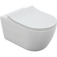 Комплект унитаза Cersanit Nature Oval CO DPL EO slim LP с инсталляцией Vector 64576 с сиденьем Микролифт с клавишей смыва Хром глянцевый фарфор подвесной