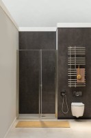Душевая дверь Allen Brau Priority 160 3.31038.BA профиль Серебро браш стекло прозрачное