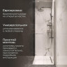 Душевая перегородка DIWO Орел 70 DS-OR-70-СR профиль Хром матовый стекло прозрачное