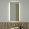 Зеркало Defesto Glow 50х100 DF 2505 с подсветкой 28W-4500К/с фацетом/Без выключателя/Нейтральный белый свет