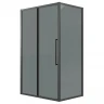Душевой уголок Grossman Cosmo 100x100 120.K33.02.1010.21.10 профиль Черный матовый стекло тонированное