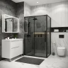 Душевой уголок Grossman Cosmo 100x100 120.K33.02.1010.21.10 профиль Черный матовый стекло тонированное
