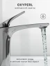 Смеситель для раковины Abelsberg Perfecta INF60101CH цвет Глянцевый хром