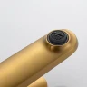 Смеситель для раковины Shevanik S43G S4301G цвет Золотой сатин