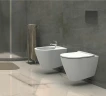 Унитаз биде beWash Alesta ALKA054H1VE0W5SZ0 подвесной Белый глянцевый с сиденьем Микролифт фарфор подвесной