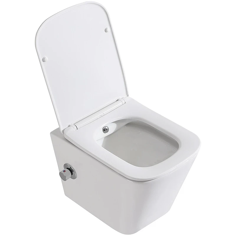 Унитаз биде BelBagno Due BB3103CHR-BS/SC подвесной с сиденьем Микролифт фаянс подвесной