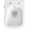 Унитаз биде BelBagno Due BB3103CHR-BS/SC подвесной с сиденьем Микролифт фаянс подвесной
