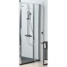 Душевая дверь Allen Brau Priority 160 3.31037.00 профиль Хром стекло прозрачное