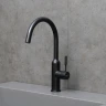 Смеситель для кухни Lemark Expert LM5079BL цвет Черный