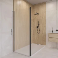 Душевая стенка RGW Z-050-3B 120 352253112-24 профиль Черный стекло матовое-сатинат