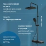 Душевая система AM.PM Func F078F322 с термостатом Черная матовая латунь на стену