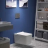 Унитаз Berges Floe Rimless 082121 подвесной с сиденьем Микролифт фарфор подвесной
