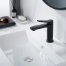 Смеситель для раковины Shevanik S43H S4301H цвет Черный