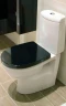 Унитаз компакт Roca Victoria Nord 342ND7000 без бачка и сиденья