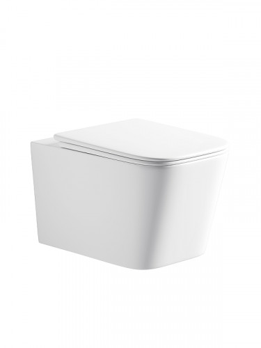 Унитаз River GUDZON 485 WT 10000013702 подвесной цвет Белый с сиденьем микролифт