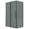 Душевой уголок Grossman Cosmo 110x100 120.K33.02.1110.21.10 профиль Черный матовый стекло тонированное