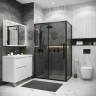Душевой уголок Grossman Cosmo 110x100 120.K33.02.1110.21.10 профиль Черный матовый стекло тонированное