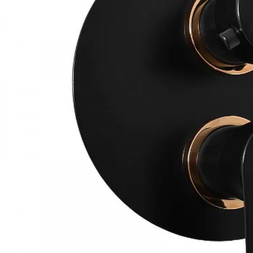 Смеситель для душа Rav Slezak Vltava VT486KCMATZ Черный матовый Золото латунь встраиваемый