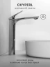 Смеситель для раковины Abelsberg Perfecta INF60102CH цвет Глянцевый хром