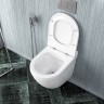 Унитаз Maretti Anna AN10PBM45-844 подвесной с сиденьем Микролифт фарфор подвесной