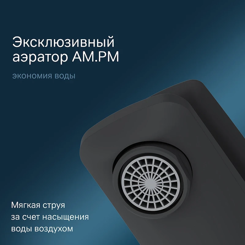 Смеситель для раковины AM.PM Gem F90A03022 с гигиеническим душем Черный матовый латунь