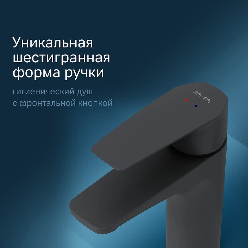 Смеситель для раковины AM.PM Gem F90A03022 с гигиеническим душем Черный матовый латунь