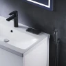 Смеситель для раковины AM.PM Gem F90A03022 с гигиеническим душем Черный матовый латунь