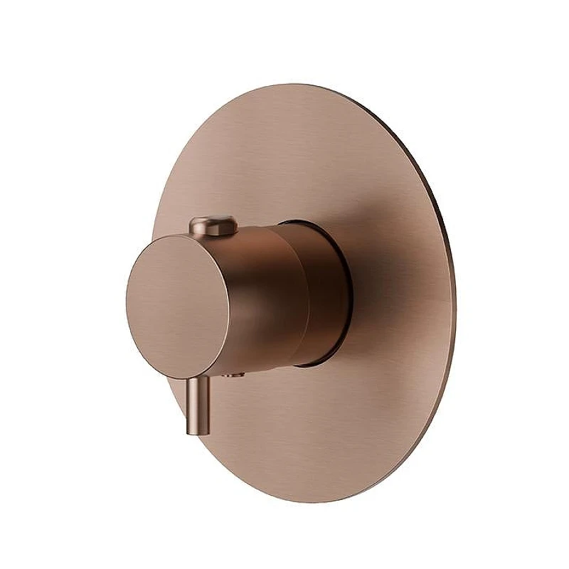 Смеситель для душа Newform X-Steel 316 67670EX.59.067 с термостатом цвет Copper Bronze