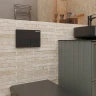 Клавиша смыва Charus Elegia FP.320.DW.01 цвет Черный матовый
