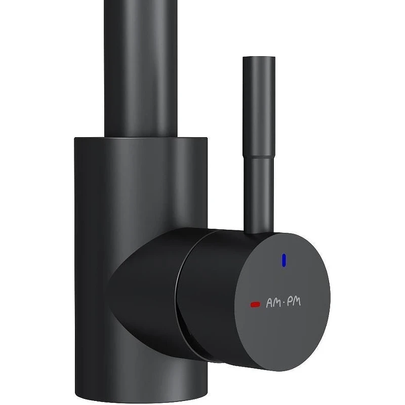 Смеситель для кухни AM.PM X-Joy S F85B07122 Черный матовый