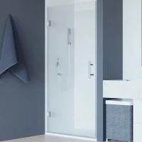 Душевая дверь RGW Hotel HO-011 60 350601106-11 профиль Хром стекло прозрачное