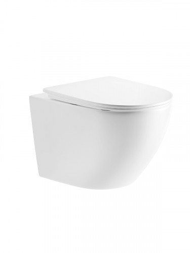 Унитаз River MICHIGAN 485 WT 10000013699 подвесной цвет Белый с сиденьем микролифт