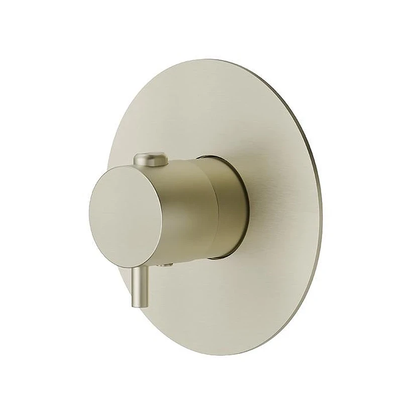 Смеситель для душа Newform X-Steel 316 67670EX.59.098 с термостатом цвет Pale Gold