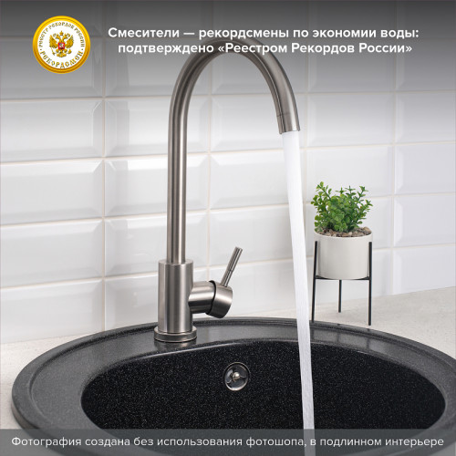 Смеситель для кухни Ростовская Мануфактура Сантехники SUS124-017FL Нержавеющая сталь