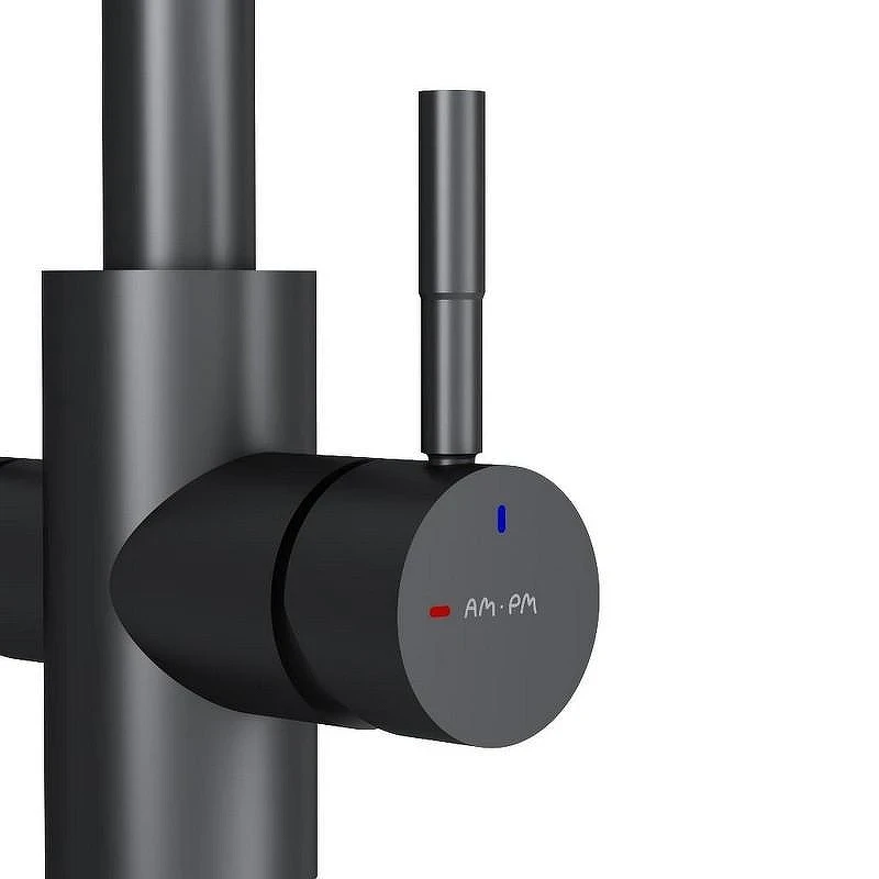 Смеситель для кухни AM.PM X-Joy S F85B07722 Черный матовый