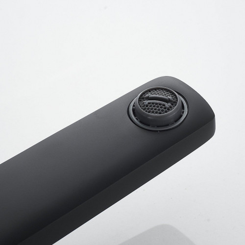 Смеситель для раковины Raffine F1199H цвет Черный