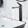 Смеситель для раковины Raffine F1199H цвет Черный