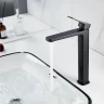 Смеситель для раковины Raffine F1199H цвет Черный