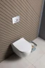 Унитаз Aquanet Cetus 3.0 Tornado 348005 подвесной цвет Белый с сиденьем Микролифт