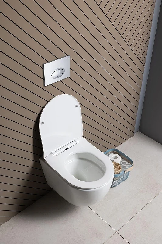 Унитаз Aquanet Cetus 3.0 Tornado 348005 подвесной цвет Белый с сиденьем Микролифт
