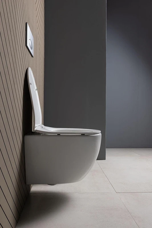 Унитаз Aquanet Cetus 3.0 Tornado 348005 подвесной цвет Белый с сиденьем Микролифт