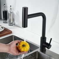 Смеситель для кухни Boch Mann Sophia B BM10432 Черный нержавеющая сталь