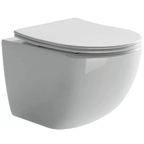 Унитаз с инсталляцией Ceramicanova Form CN3009 + Geberit Duofix Sigma UP320 111.300.00.5 с сиденьем Микролифт