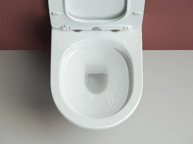 Унитаз с инсталляцией Ceramicanova Form CN3009 + Geberit Duofix Sigma UP320 111.300.00.5 с сиденьем Микролифт