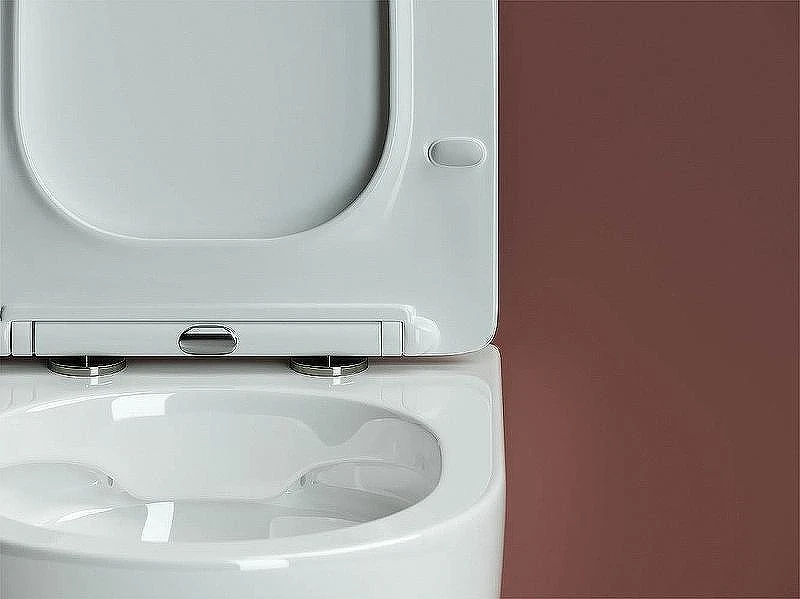 Унитаз с инсталляцией Ceramicanova Form CN3009 + Geberit Duofix Sigma UP320 111.300.00.5 с сиденьем Микролифт