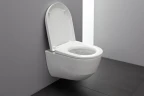 Унитаз Laufen Pro Rimless 8.2096.5 подвесной без сиденья