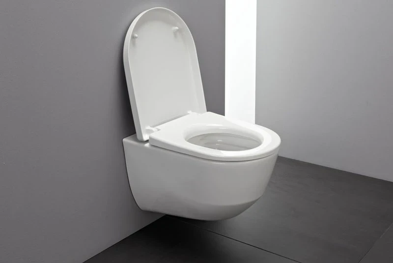 Унитаз Laufen Pro Rimless 8.2096.5 подвесной без сиденья