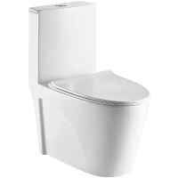 Унитаз компакт WeltWasser Welzbach 001 GL-WT 10000003805 Белый глянец с бачком и сиденьем Микролифт фаянс напольный