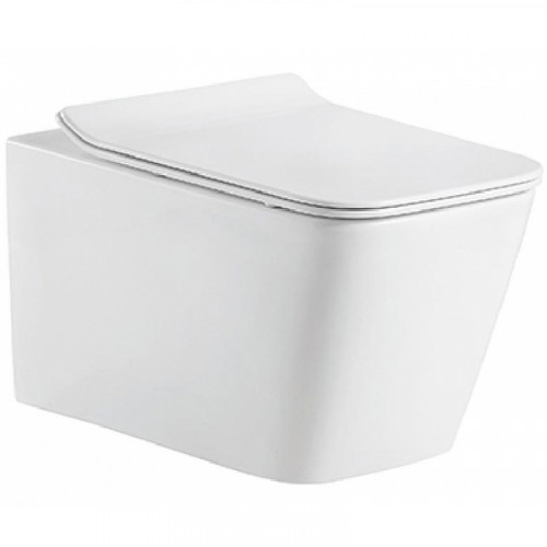 Унитаз Bravat Manno C21201UW-RUS подвесной с сиденьем Микролифт фаянс подвесной